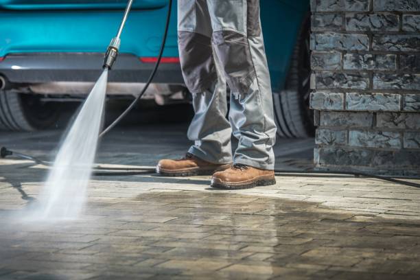 Best Rust Removal  in Appleton, MN