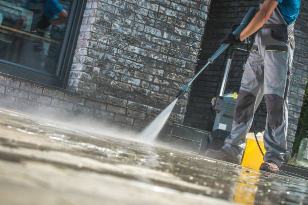 Best Animal Enclosure Cleaning  in Appleton, MN