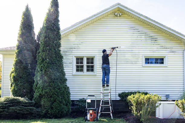 Best Fence Cleaning  in Appleton, MN