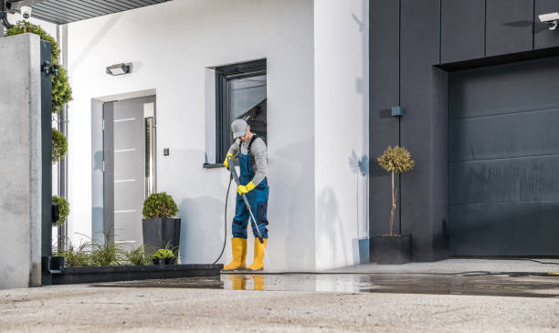 Best Sidewalk and Walkway Cleaning  in Appleton, MN